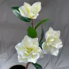 3-head magnolia artificial flower European-style simple modern flower arrangement artificial flower silk flower living room decoration in stock wholesale and consignment details Picture